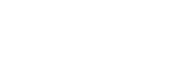 Mintz Group