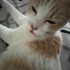 Lily Barger Profile Picture