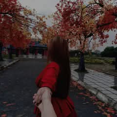 Đào Phượng Profile Picture