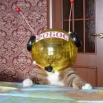 maezu__ Profile Picture