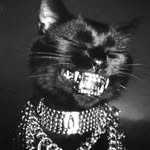 bia.trizly Profile Picture