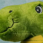 your.swaas Profile Picture
