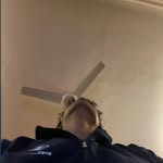 _shaayansawho Profile Picture