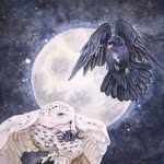 rocky._raccoon999 Profile Picture