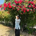 _tany_a_1430 Profile Picture