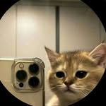 sye_e_d Profile Picture
