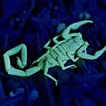 j__cctx Profile Picture