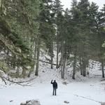 fotis04_ Profile Picture