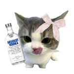 mostly.malya Profile Picture