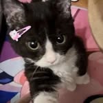 itsyourbeetch Profile Picture