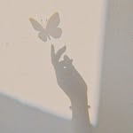 faida._rou Profile Picture