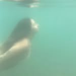 _susy.bellot_ Profile Picture