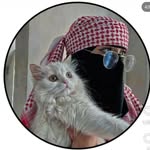 w._abdul6 Profile Picture