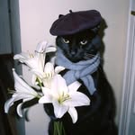 youssef257_ Profile Picture