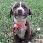 svwmbabes Profile Picture
