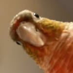 mark.2.2.3 Profile Picture