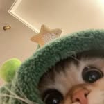 lpmclarx Profile Picture