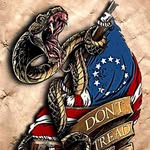 Thomas Mayo Profile Picture