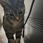 qrxozy Profile Picture