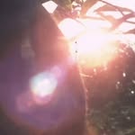 jj.yan06 Profile Picture