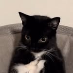 mikevart Profile Picture