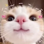 _scoobydoobi_ Profile Picture