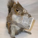 trippinonbooks Profile Picture