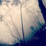 lonely__heart4 Profile Picture