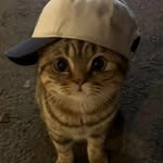 ridaaomer Profile Picture