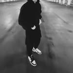 probwildn Profile Picture