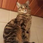 Jacqu Eline Profile Picture