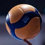 Marin skendaj Profile Picture