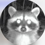 trippforrester33 Profile Picture
