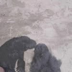 swy.dbm Profile Picture