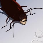 datte_boiis Profile Picture