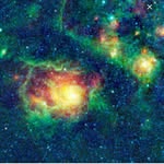 black_pink_blue Profile Picture