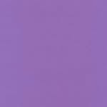 is.that.claire_bear Profile Picture