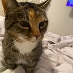 marie.wxms Profile Picture