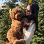 rajviibansal_ Profile Picture