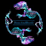 boneandbeetle Profile Picture