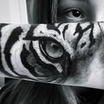 ciicuska.wgmnoel Profile Picture