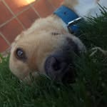 Gerónimo Fernández Profile Picture