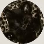 sl25x Profile Picture