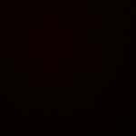 Felix Gonzalez Profile Picture