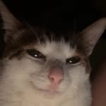 kman32457 Profile Picture