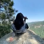 elvqry Profile Picture