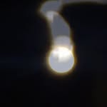 dankiwi Profile Picture