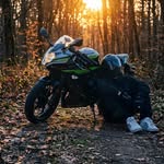 Flo L. Profile Picture