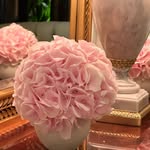 Dina Cohen Profile Picture