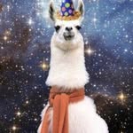 Dustin Angel Profile Picture